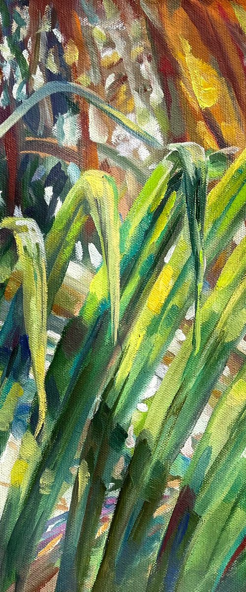 Tropical Symphony Of Colours by MOMALYU