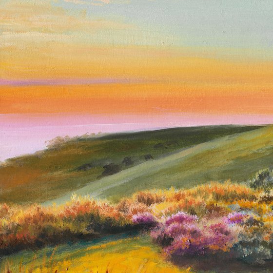 Country path with colorful flowers