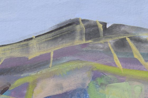 Field Patterns 2
