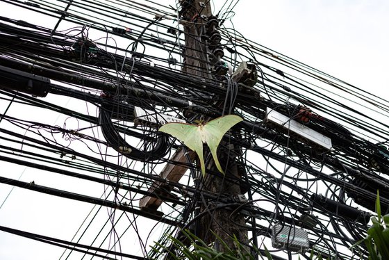Fragility in the Grid