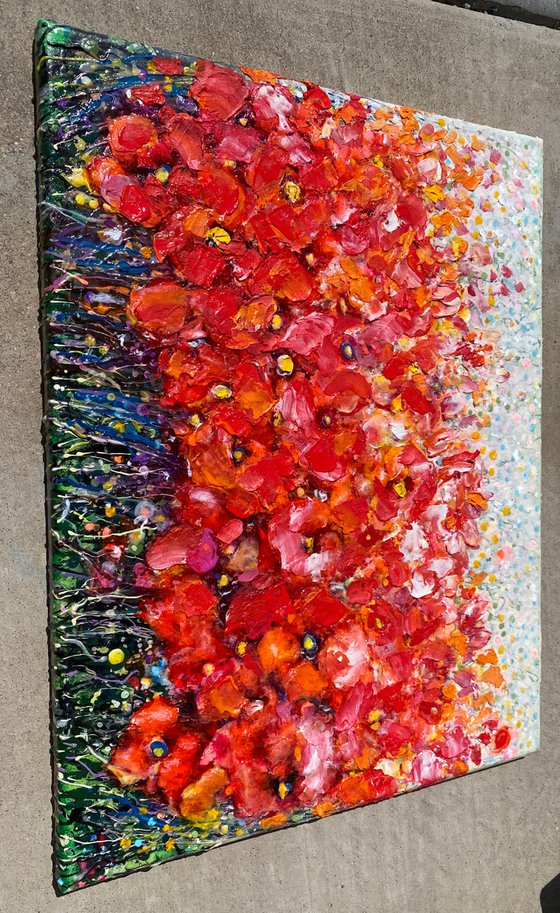 Poppy Field