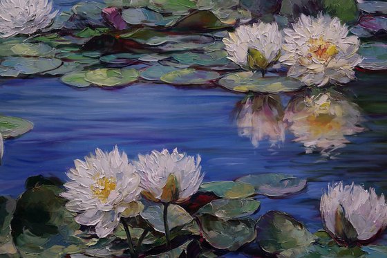 "Water lilies"