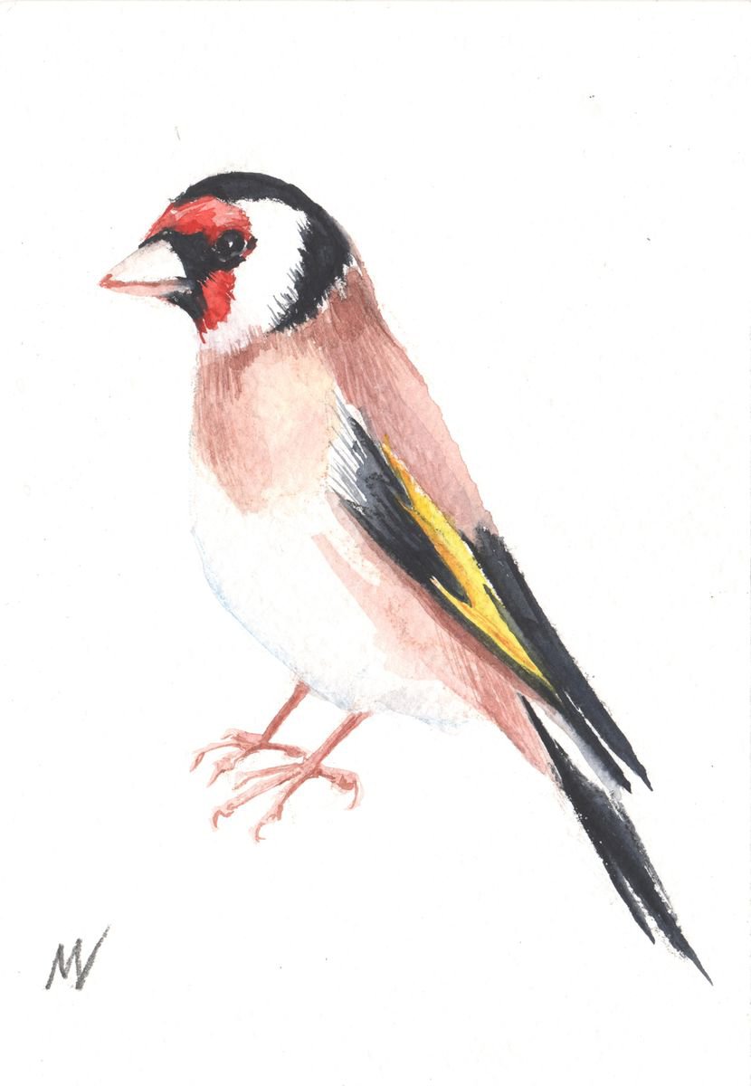 Goldfinch. by Mag Verkhovets