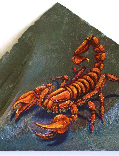 The King Of The Sting (Giant Red Scorpion) by Joseph  Charman