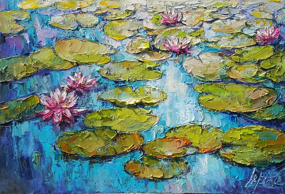Water lilies pond