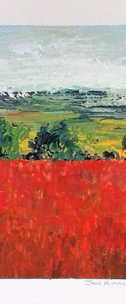 Poppy Fields, Sussex by Jan Rippingham