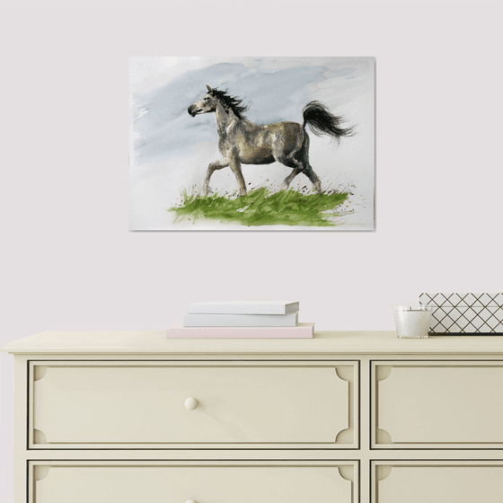 Horse VII  / Original Painting
