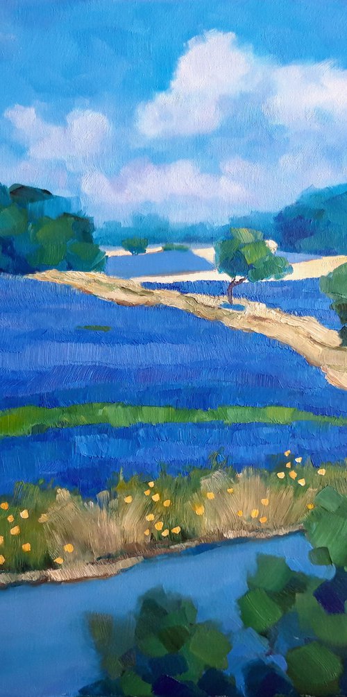 Blue and yellow by Irena Heinz