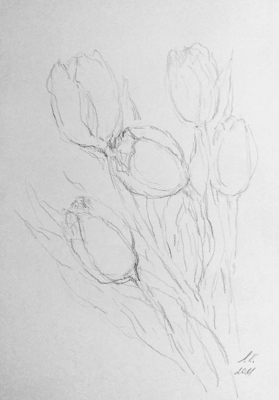 Tulipes #8. Original pencil drawing.