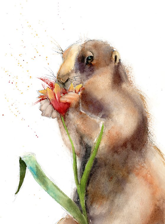 Groundhog smelling flower