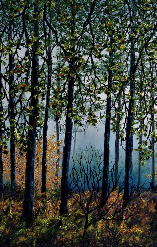 Deep In The Forest  61cm x 92cm by Hazel Thomson