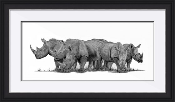 A Crash of Rhinoceros