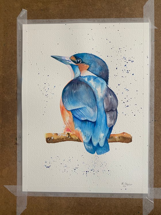 Kingfisher watercolour painting
