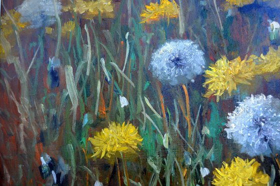 Fragment of a lawn of dandelions