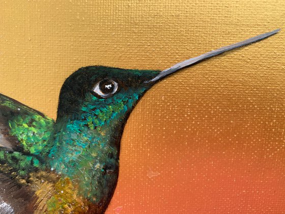 Hummingbird on Gold