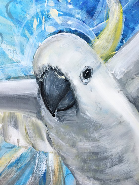 Soaring High – White Cockatoo