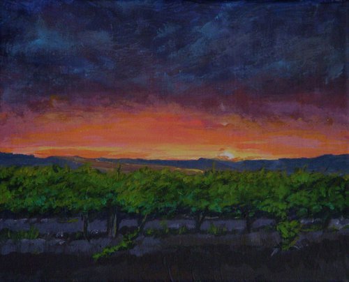 Vineyards at Sunset by Anastasia Zabrodina