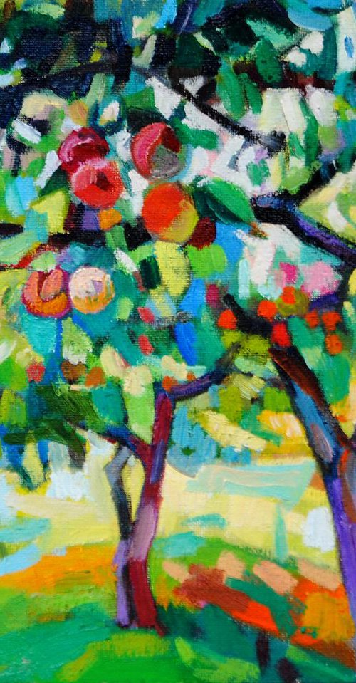 Garden by Maja Đokić Mihajlović