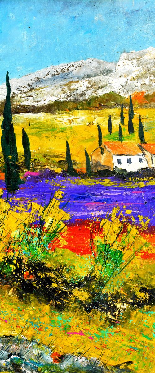 Lavender in Provence  - 88 by Pol Henry Ledent