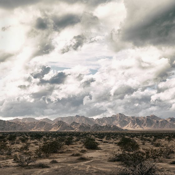 November Storm, Joshua Tree