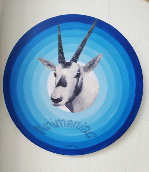 "Animaniacs presents"Oryx by Pilar Alvarez