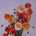 Poppy