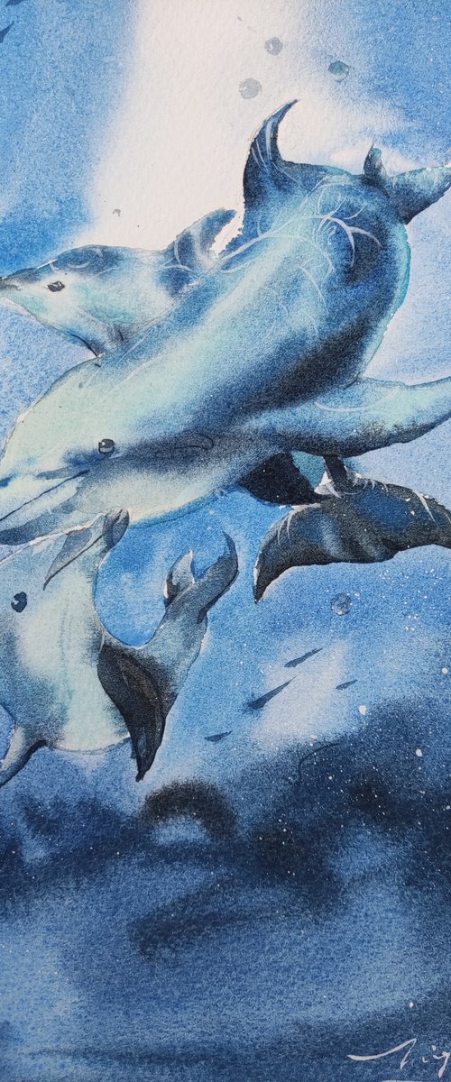 Dolphins by Jing Chen