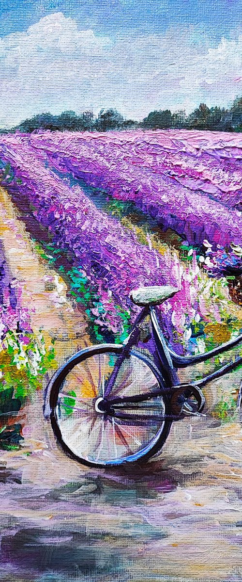 Bicycle on the lavender field by Tatajana Obuhova