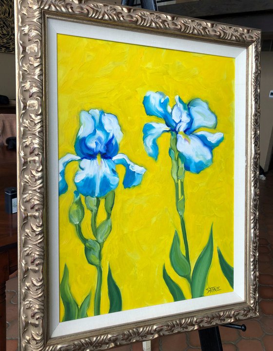 Blue Iris