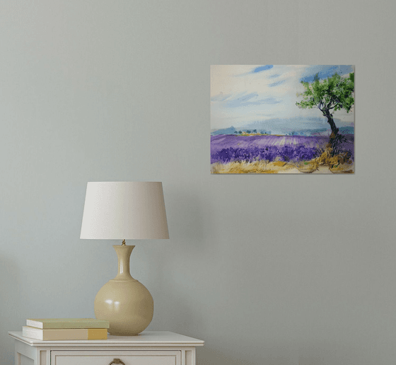 Landscape  in Provence. Lavender fields #1