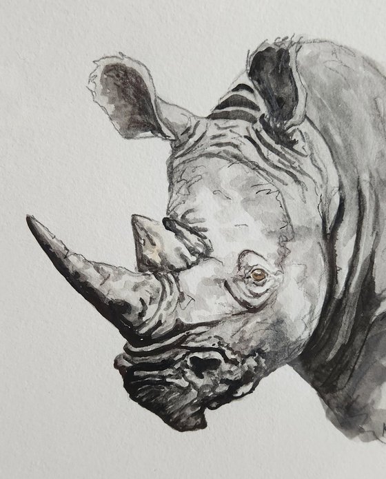 Black Rhino