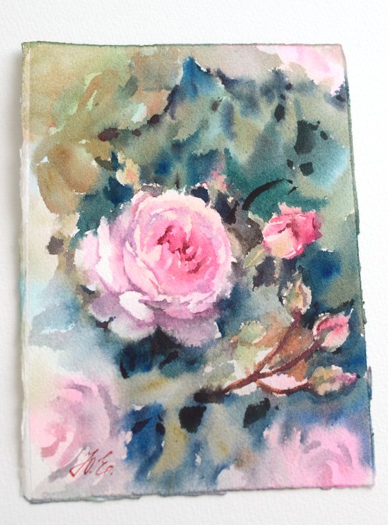 Watercolor English roses, Pink flowers on green