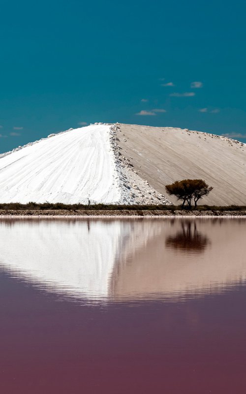 Dune de sel by Lionel Le Jeune