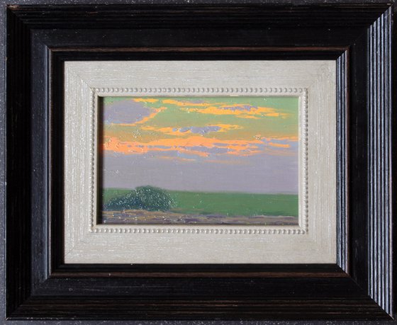 Sunset in the field