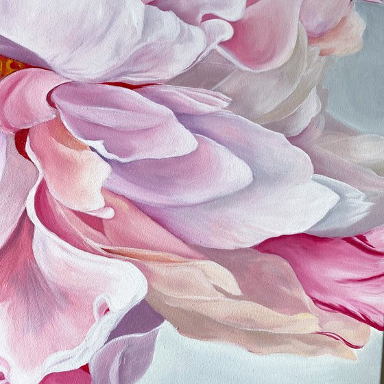 Pink Peony