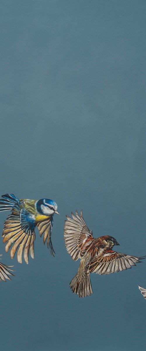 Flutter of Wings by Natalie Toplass
