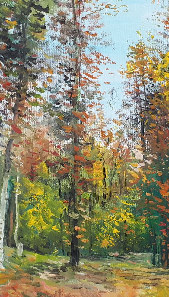 Clearing In The Forest