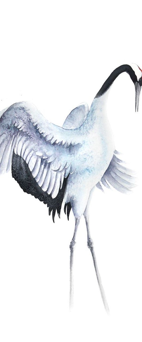 RED CROWNED CRANE III, bird, birds, animals, wildlife watercolour painting by Karolina Kijak