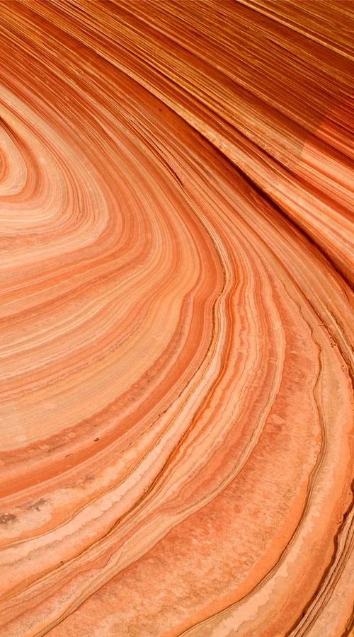 Sandstone Swirl by Alex Cassels