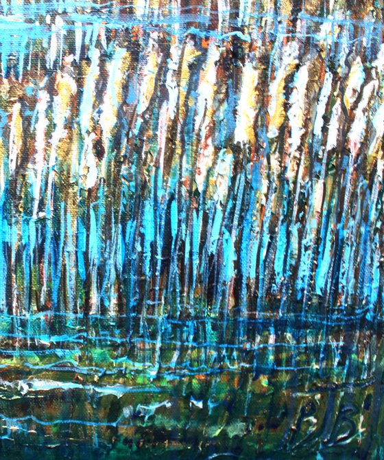 Warsash Reedbeds