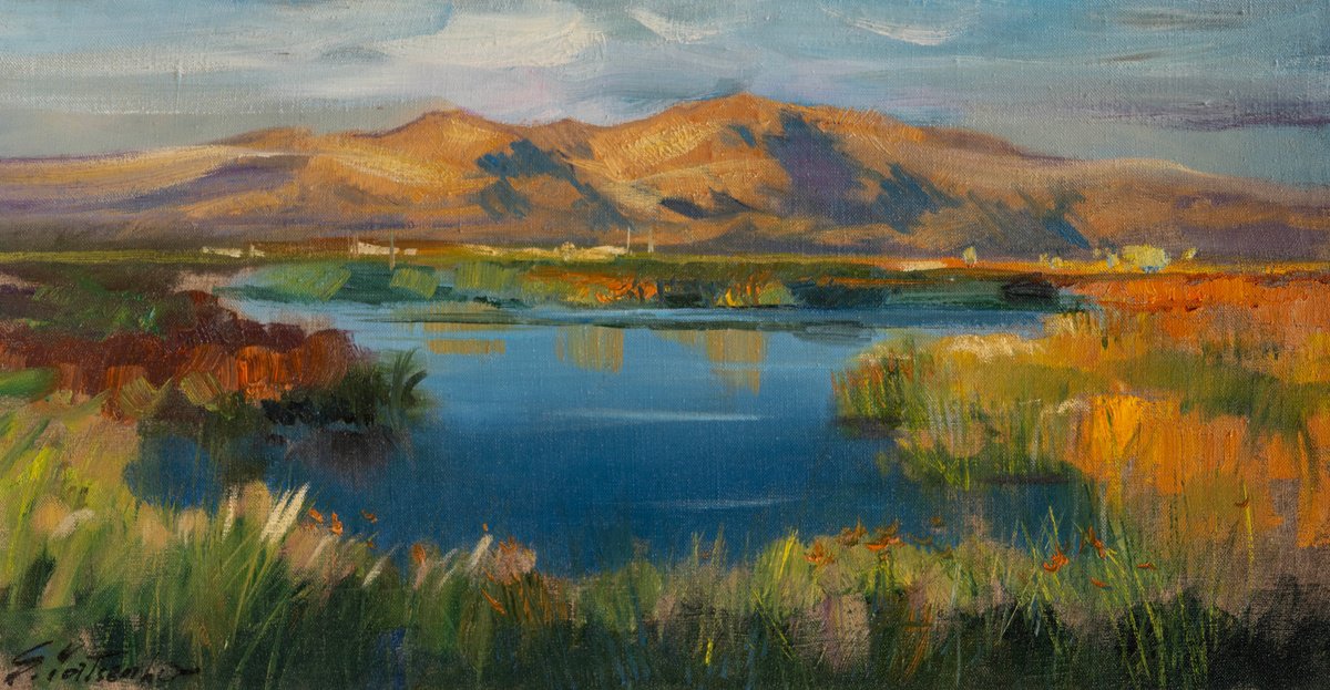 Desert Oasis By Sergei Yatsenko, 26 X 14, Artwork For Sale On Artfinder