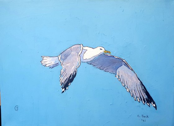 Seagull #12