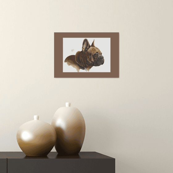 French Bulldog