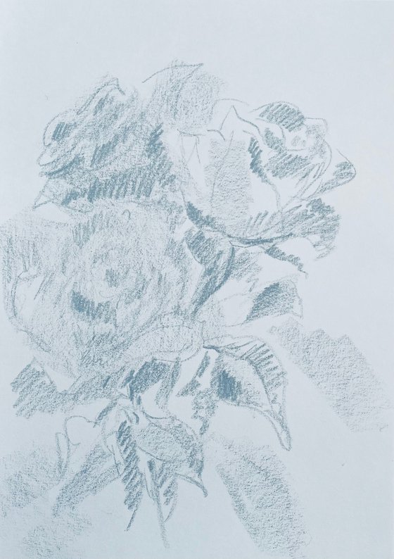 Roses #12. Original pencil drawing