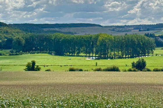 Normandy in Summertime