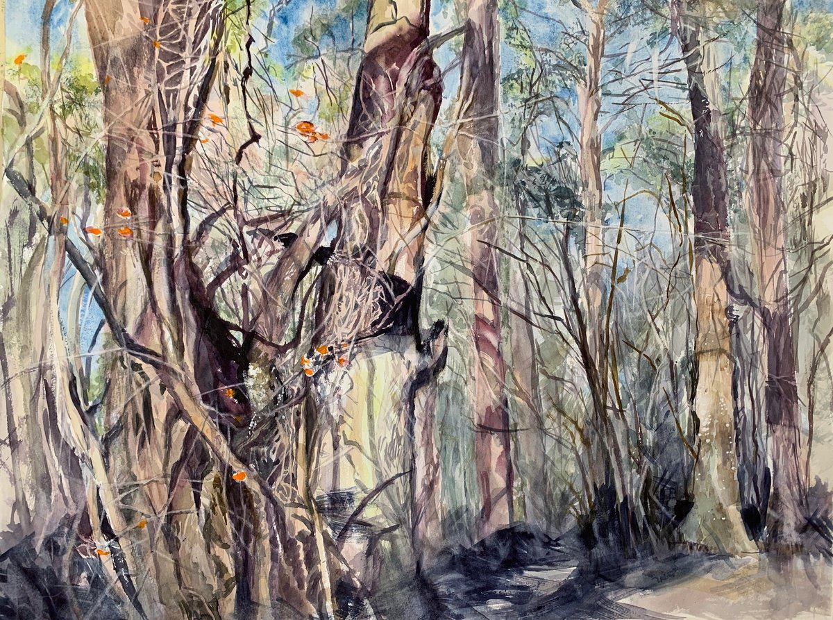 Impressionistic Watercolour , Old Forest By Yoshiko Murdick, 24 X 18, Artwork For Sale On Artfinder