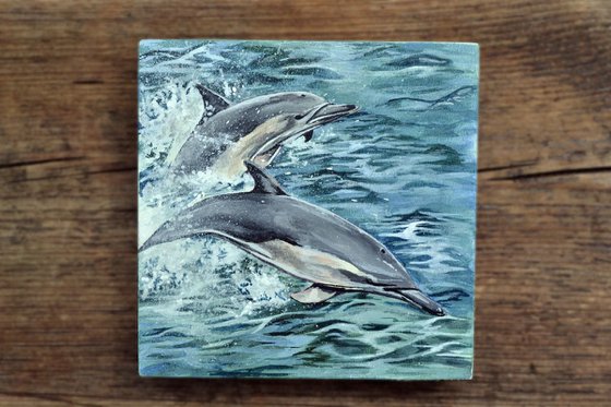 Dolphins