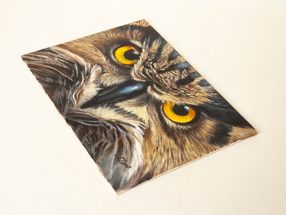 "Owl's Gaze — Golden Eyes That Hypnotize"