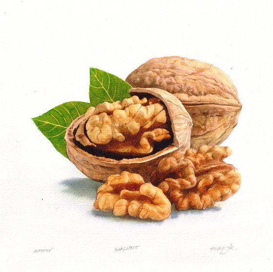 Walnut II