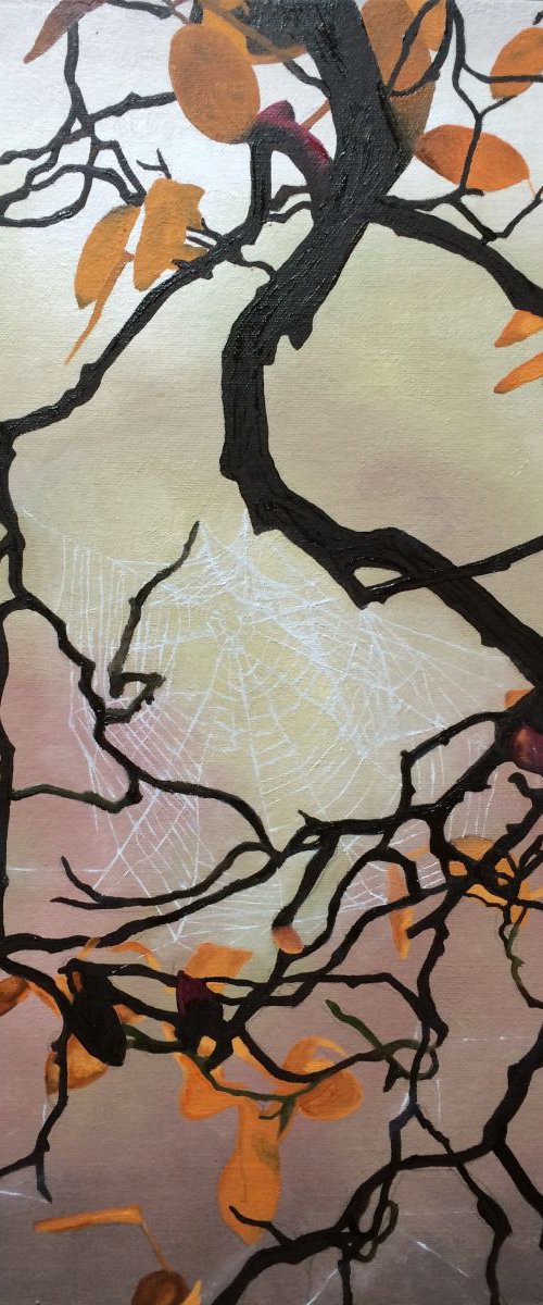 Spider Web by Jill Ann Harper